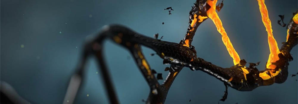 Uszkodzone DNA