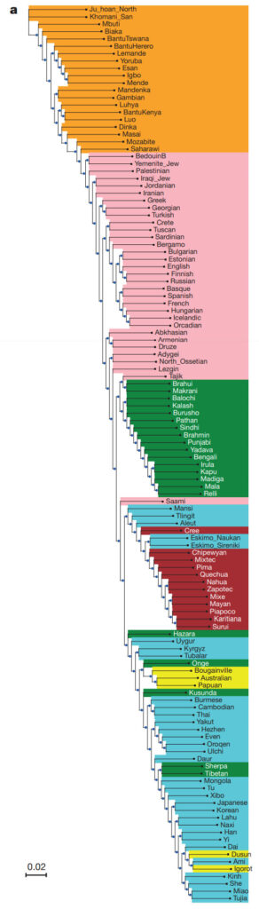 Badanie 300 genomes from 142 diverse populations