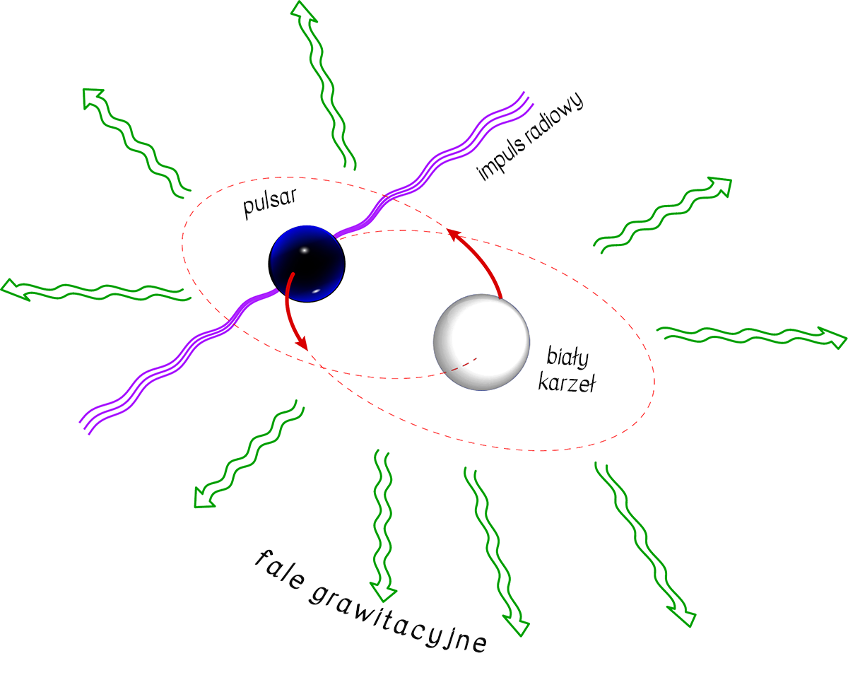Układ pulsar-czarna dziura